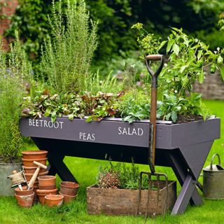 Black wooden raised trough planter with assorted salad and vegetable plants, stencilled labels, vintage flowerpots CH&I 06/2011 pub orig