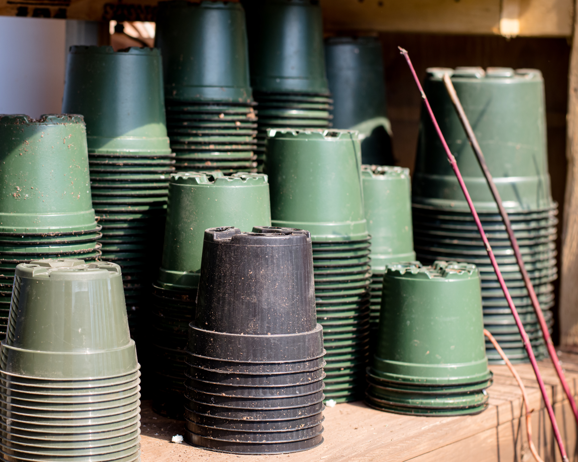 plastic plant pots stacked on shelf