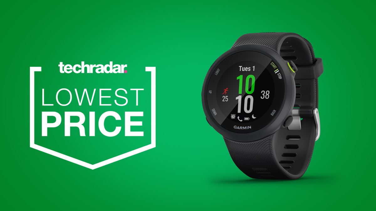 garmin forerunner 45 price check