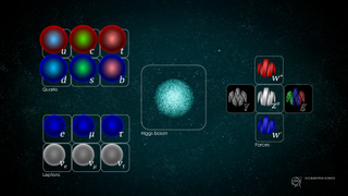 Illustration of different bosons.