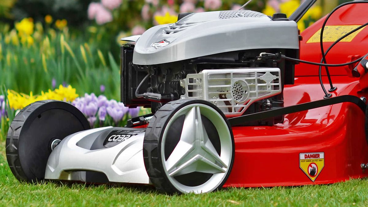 Cobra electric online mowers