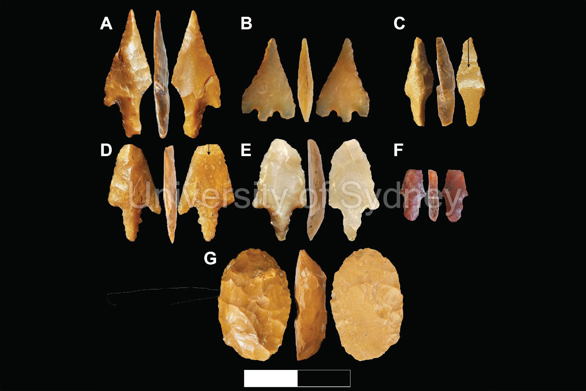 An array of arrowheads and spear points