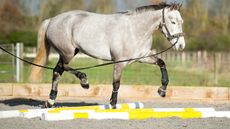Fan-polework-4078_164146012_245581151_387891571_660639051.jpg