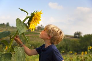 Best plants to grow with kids