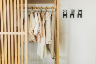 Childrens clothes hanging on rail in wooden closet at home