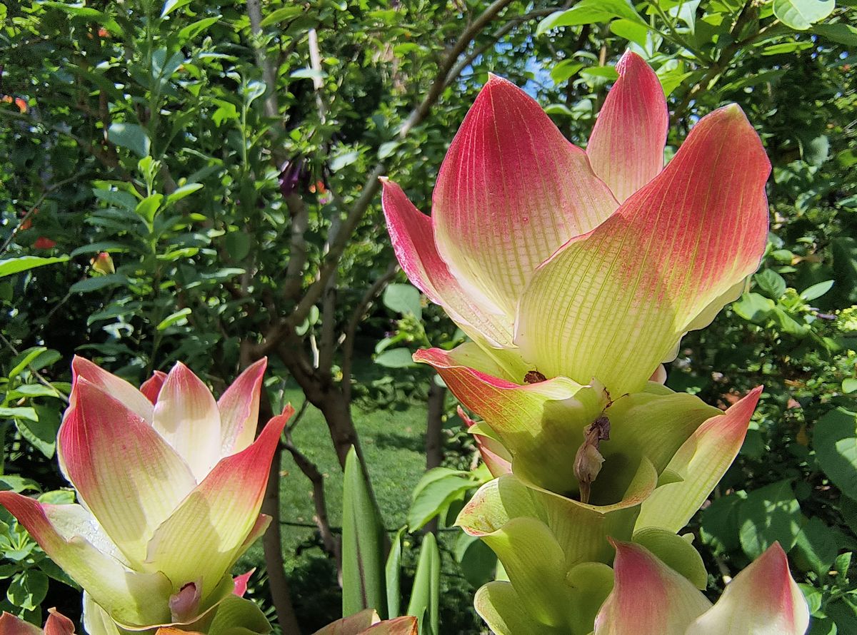 Image samples from Motorola Edge (2022) camera