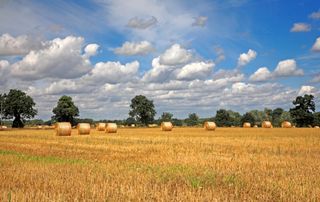 A country landscape of harvested farmland with round straw bales in East Norfolk at Freethorpe, Norfolk, England, United Kingdom, Europe.