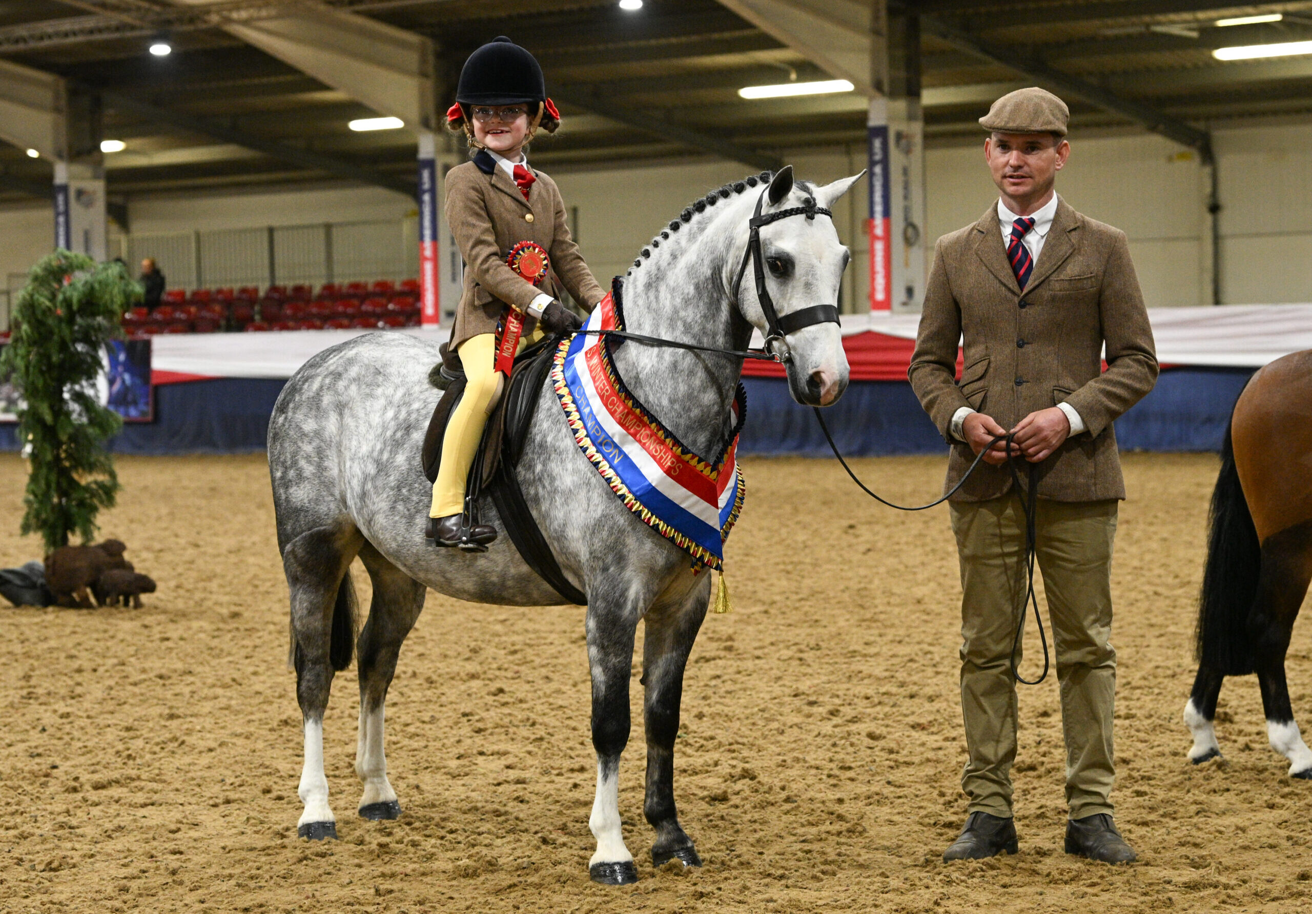 Rowfantina My Buddy and Phoebe Macgregor are stood for a photo with Karl Morris leading them after they are RIHS mini hunter pony champions at the BSPS Winter championships