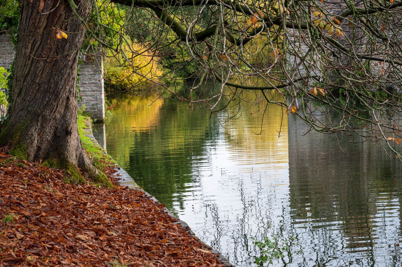 Nikon Z DX 16-50mm f/2.8 VR example shot
