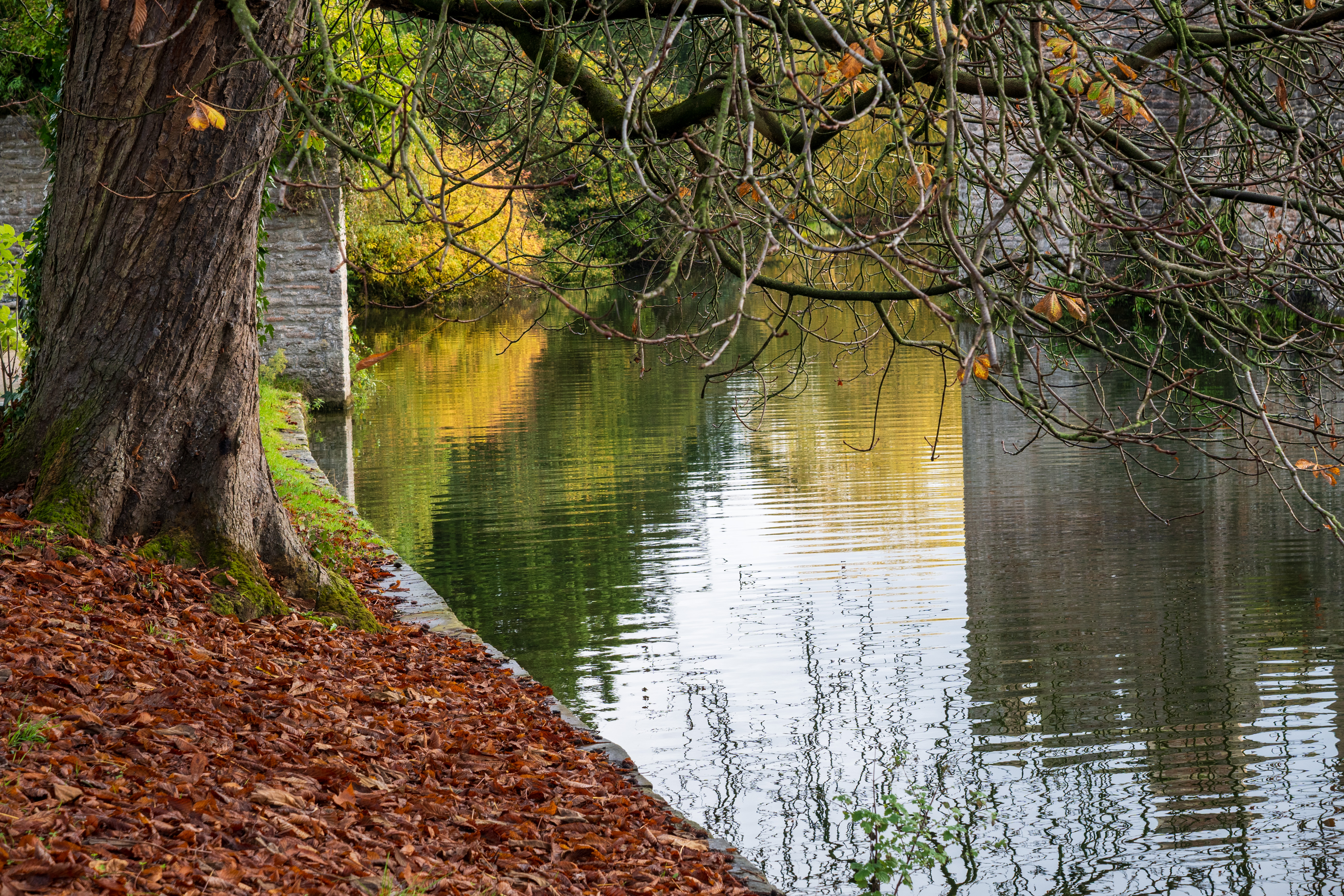 Nikon Z DX 16-50mm f/2.8 VR example shot