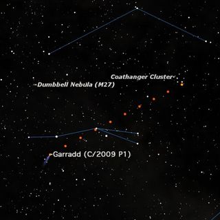 Comet Garradd can be seen right now with binoculars in the constellation Sagitta