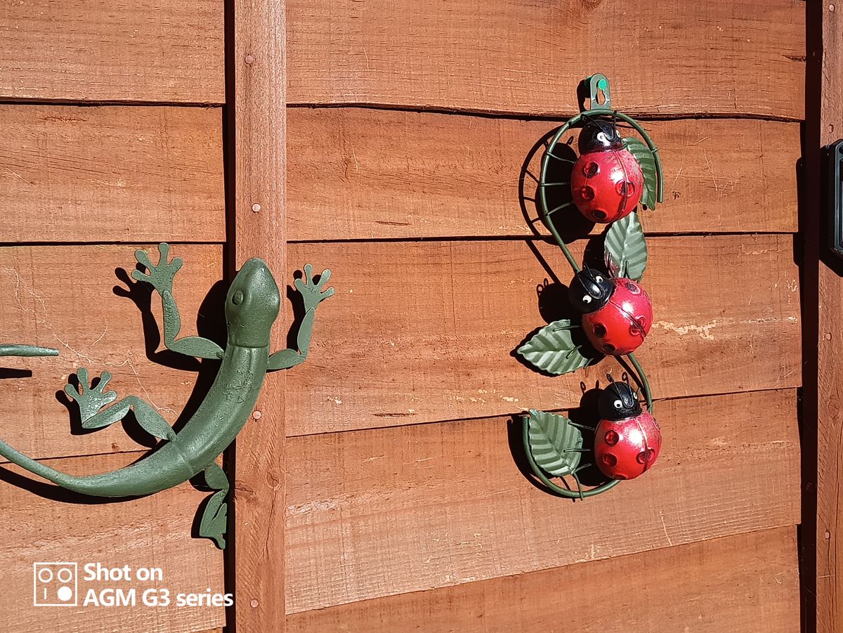 AGM G3 Pro photo and thermal examples