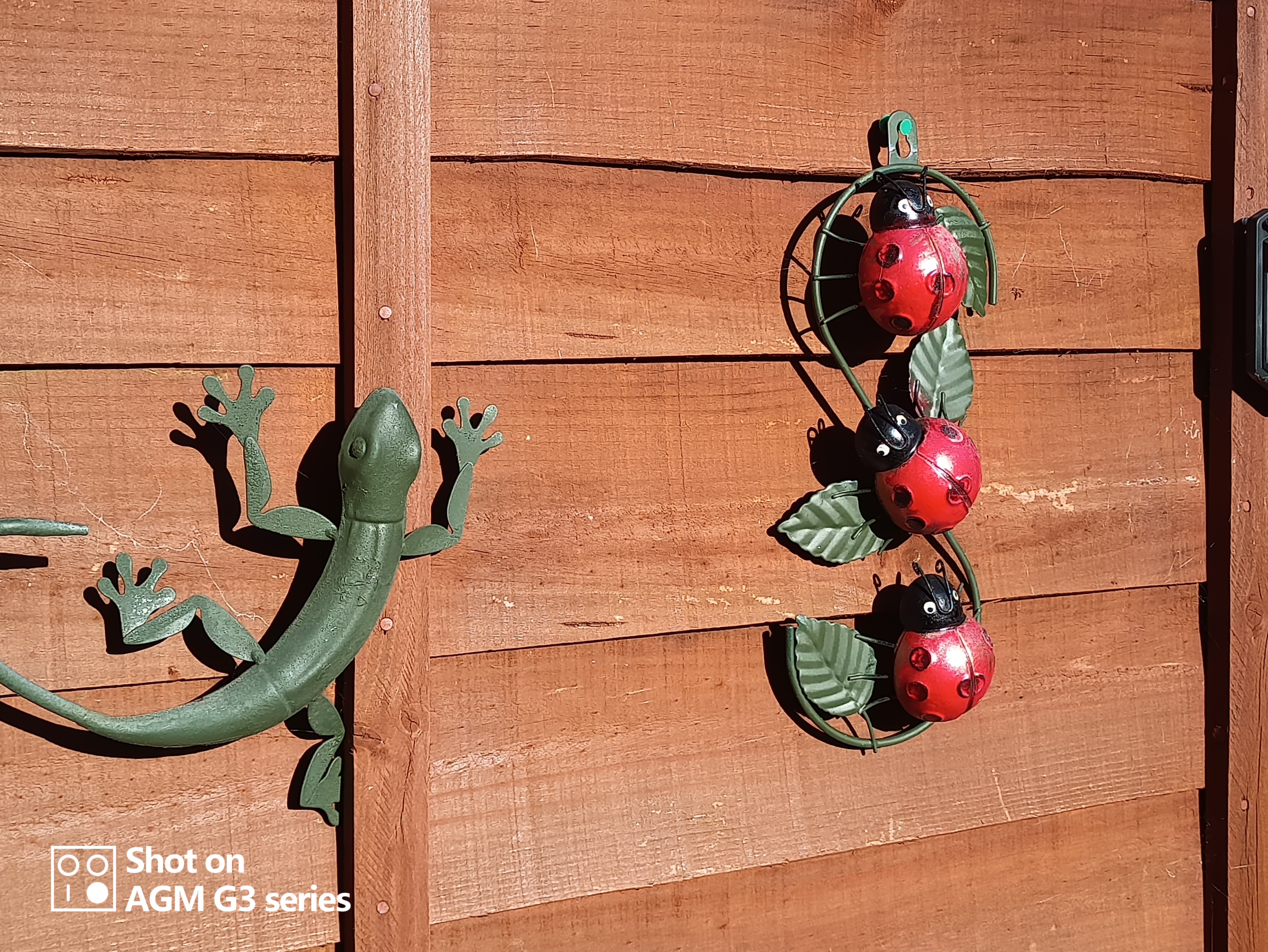 AGM G3 Pro photo and thermal examples