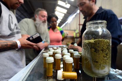 Study finds that when marijuana is legalized prescription drug use decreases. 