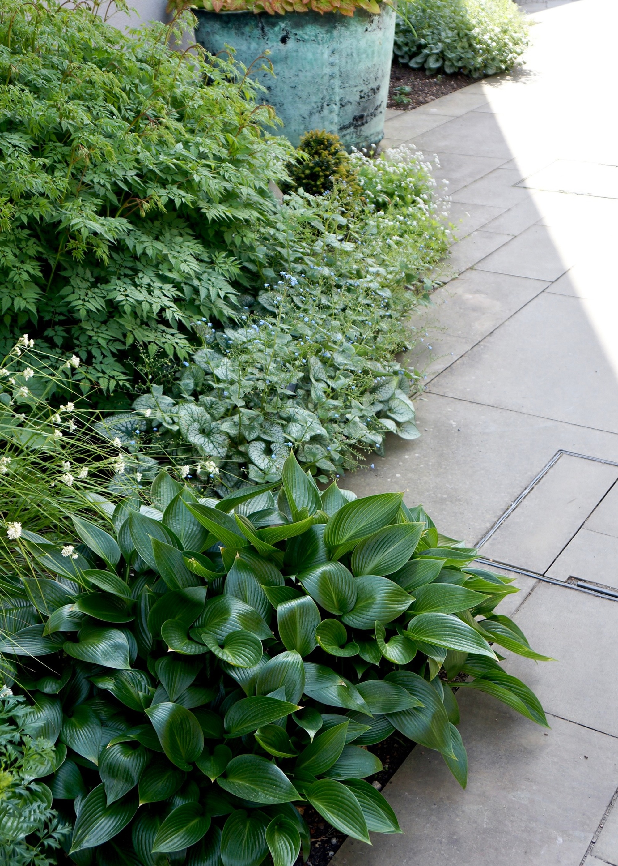 sloping patio with rain garden