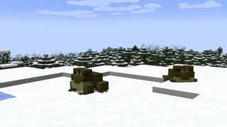 Minecraft Frogs