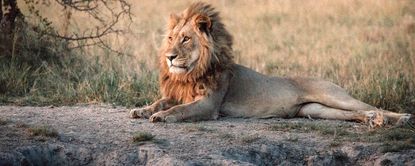 171206-kalahari-top.jpg