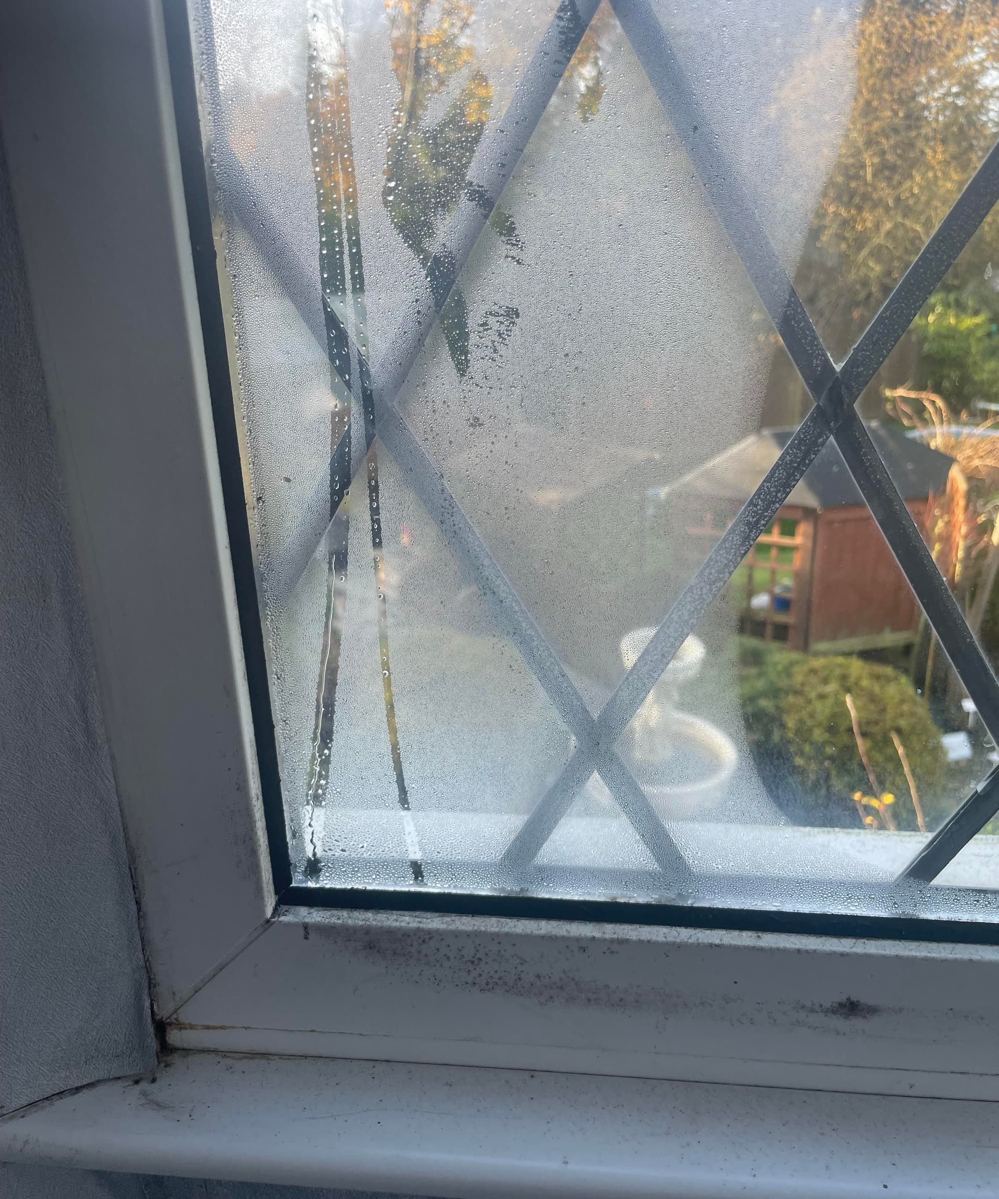Condensation on the side of a window