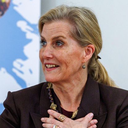 Duchess Sophie wearing a brown blazer crossing her hands in front of her chest