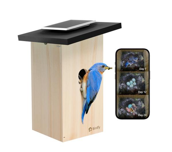 Birdfy Ebony Lite Smart Bird House With Camera and Solar Panel