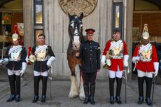 Joe Stockdale and Jack Whitaker behind the scenes with the Household Cavalry at the Hyde Park Barracks in London