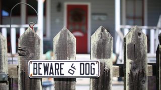 Beware of Dog Sign