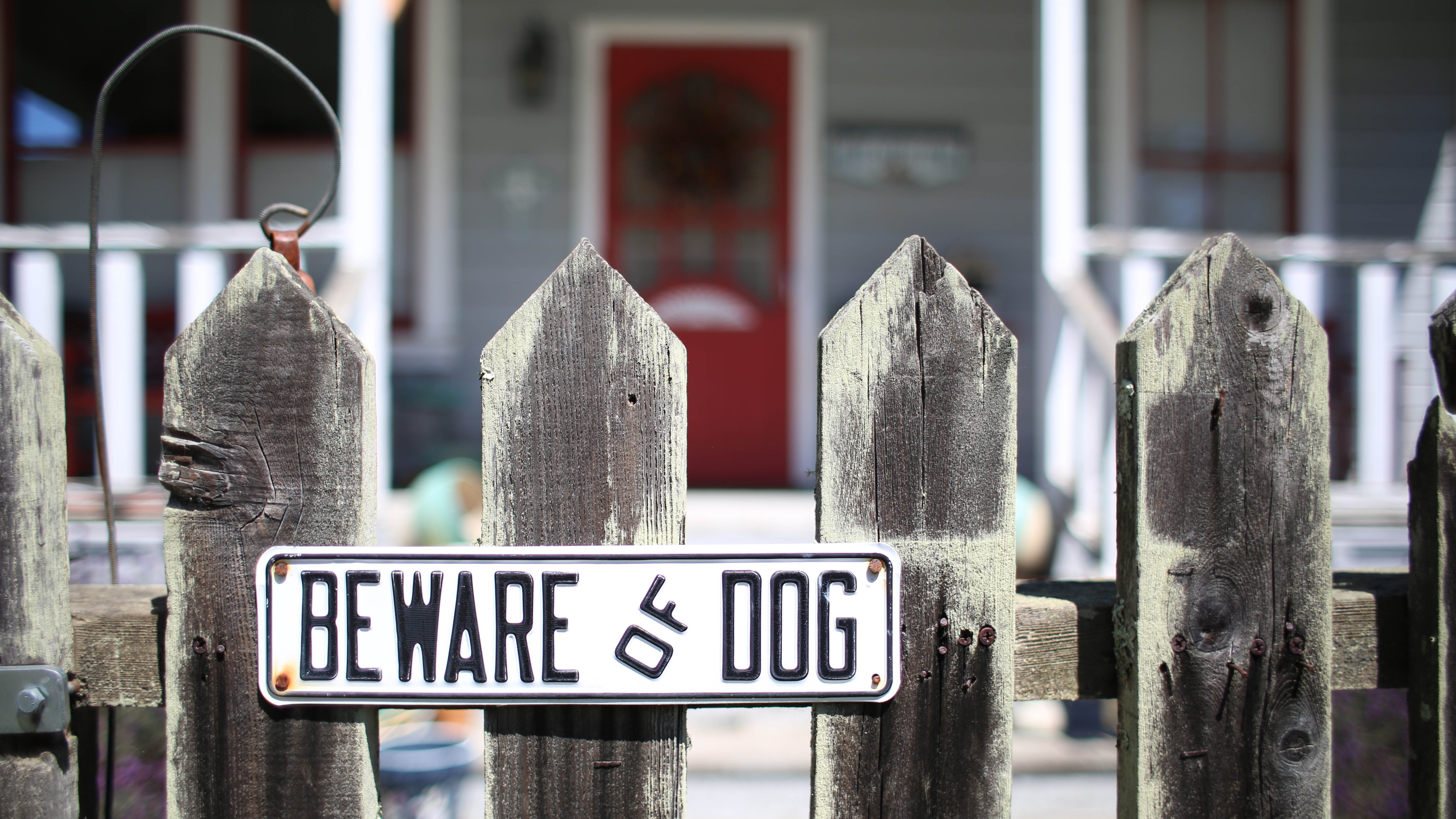 Beware of Dog Sign