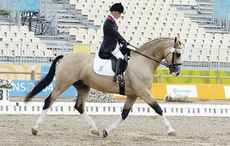 The most famous horse in paradressage, with multi Olympic gold medallist Lee Pearson
