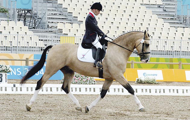 The most famous horse in paradressage, with multi Olympic gold medallist Lee Pearson