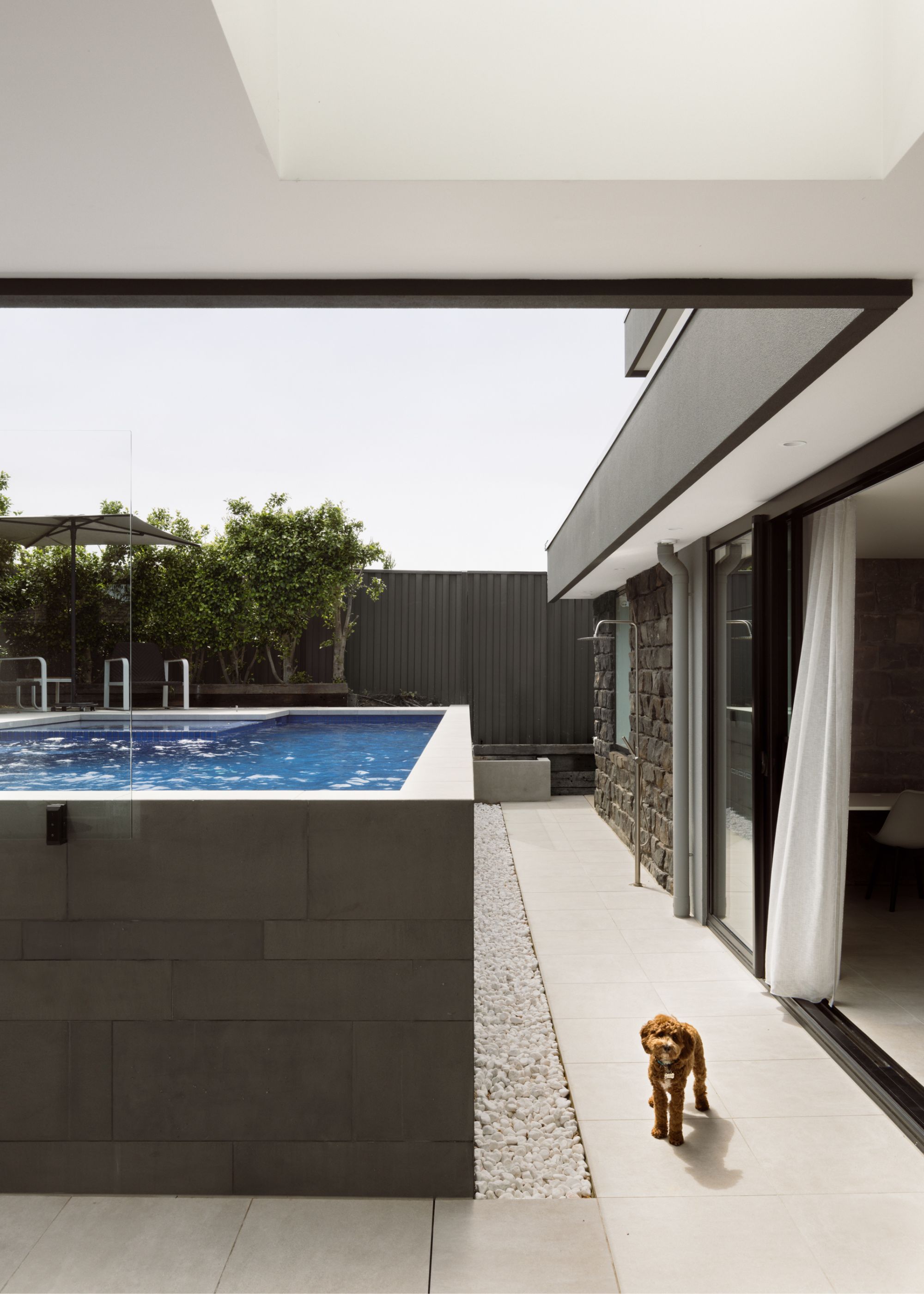 A raised pool in a backyard with a dog beside it