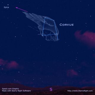 The constellation Corvus the crow.