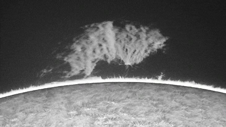 Looped video footage of a large solar prominence dancing above the sun's surface