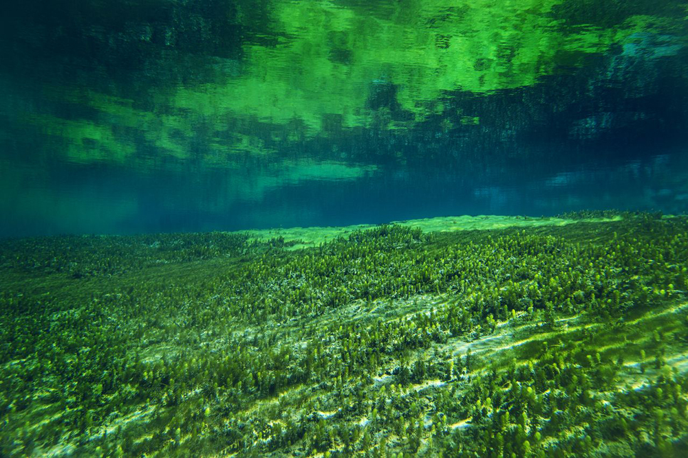 Photos: The Clearest Lake on Earth | Live Science