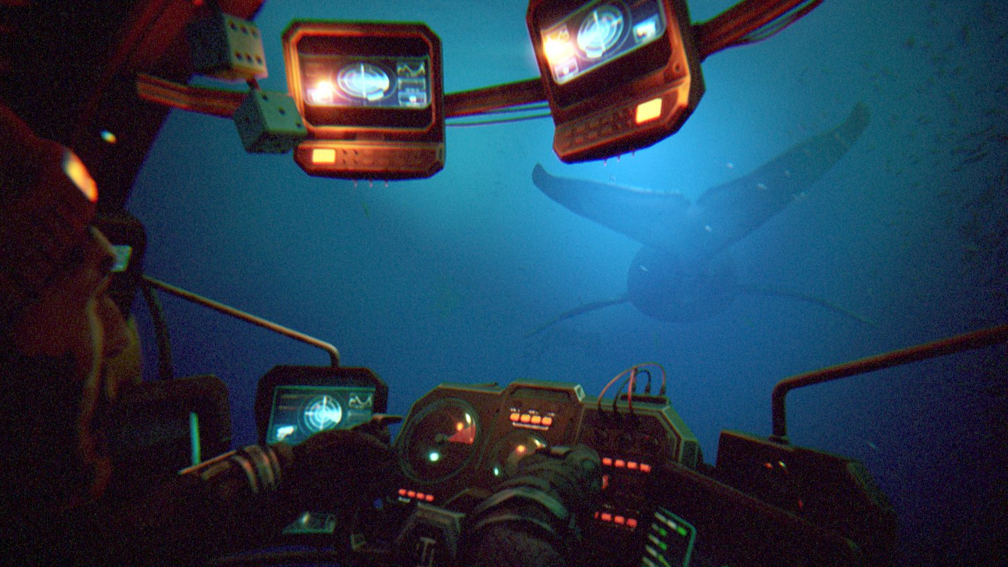 Watching a whale from inside a submarine