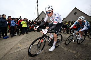 HARELBEKE BELGIUM MARCH 22 Tim Wellens of Belgium and UAE Team Emirates competes passing through the Paterberg sector while fans cheer during the 67th E3 Saxo Bank Classic Harelbeke 2024 a 2076km one day race from Harelbeke to Harelbeke UCIWT on March 22 2024 in Harelbeke Belgium Photo by Tim de WaeleGetty Images