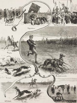 The trials for the Waterloo Cup, The Dog Derby, hunting dogs, illustration from The Graphic, volume XXVII, no 691, February 24, 1883.