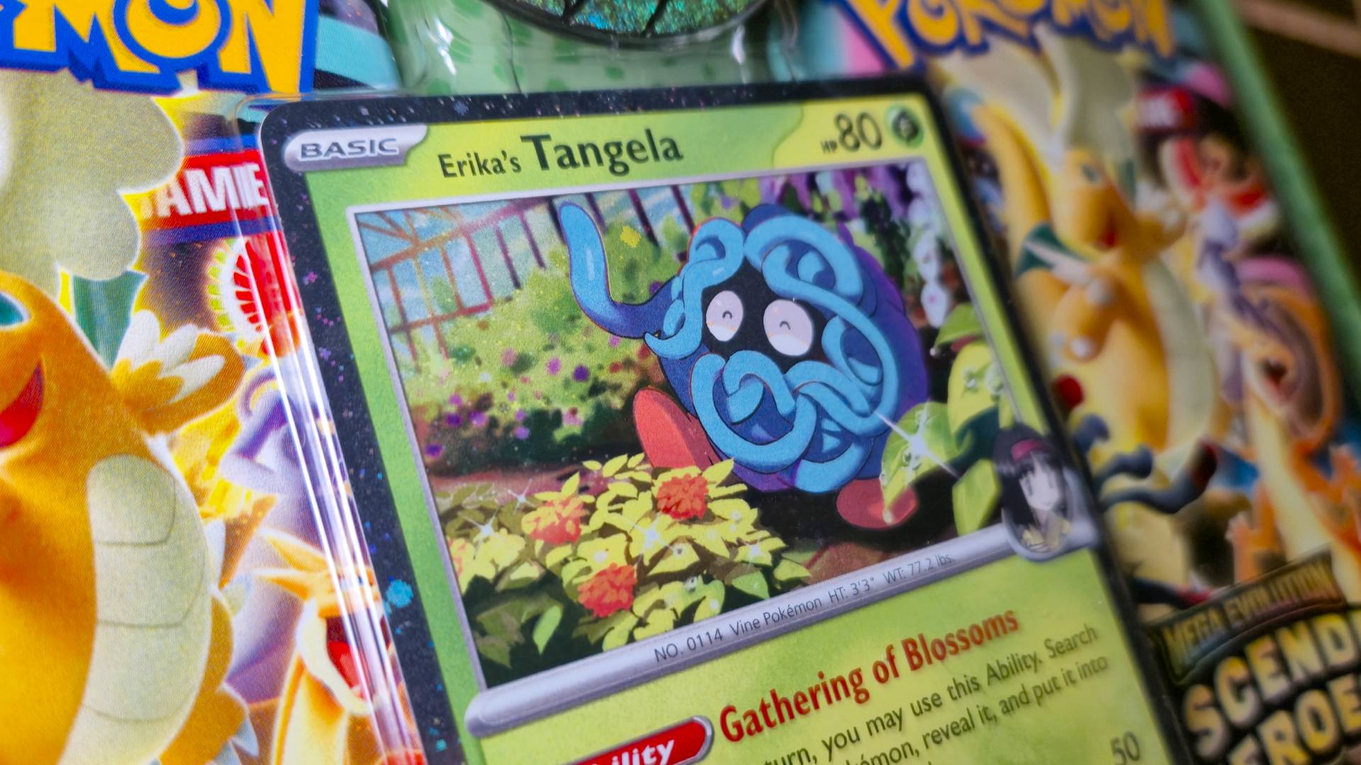 Close up of a Tangela cart as part of the Pokemon TCG Ascended Heroes set.