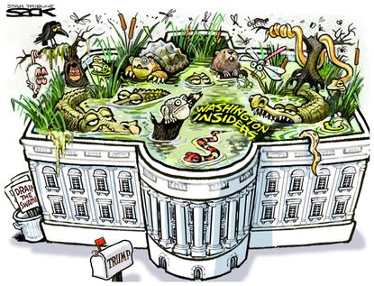 Political cartoon U.S. Washington insiders swamp