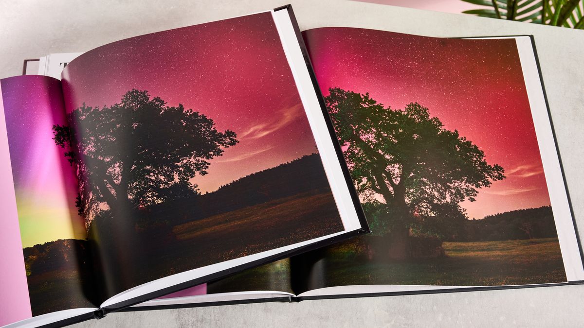 Image of tree in Printerpix photo book, positioned on the left and Blurb photo book, positioned on the right.
