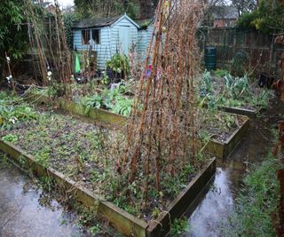 raised beds surrounded by flood water after heavy rain