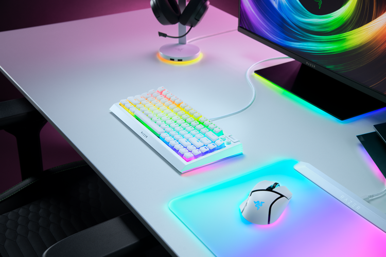 Razer BlackWidow V4 75%