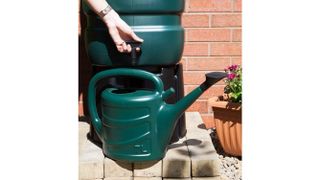 Water container and watering can in use