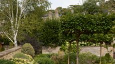 A walled garden with trees, shrubs, and foliage offering privacy 