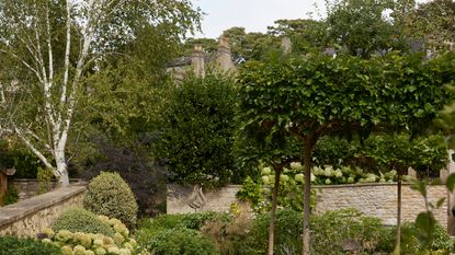 A walled garden with trees, shrubs, and foliage offering privacy 