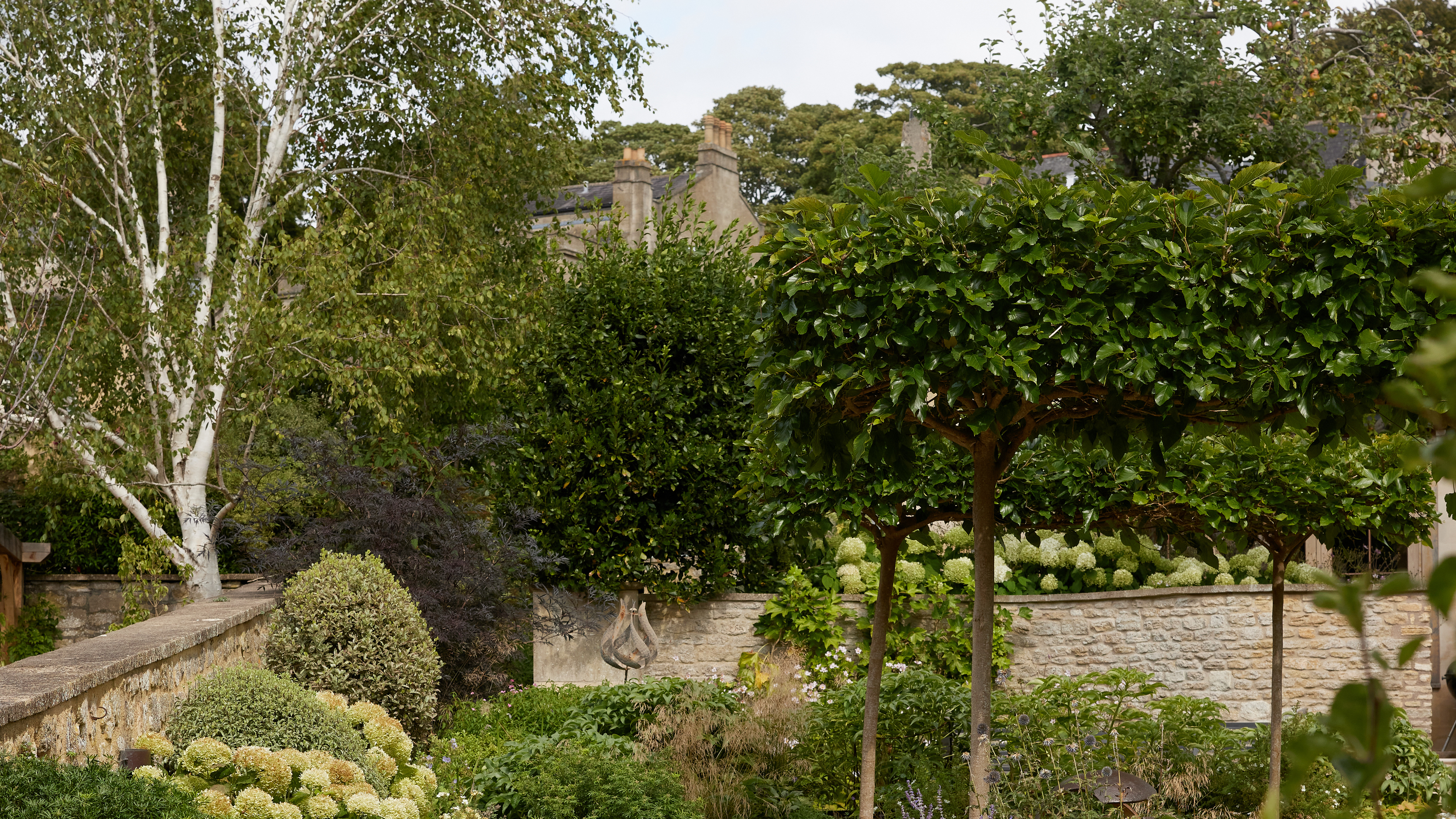 A walled garden with trees, shrubs, and foliage offering privacy 