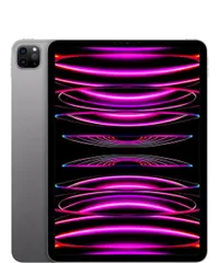 iPad Pro 12.9-inch | $1099$1039 at Best Buy