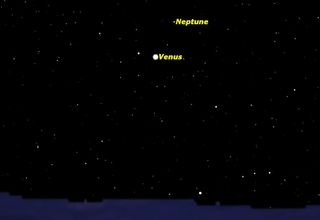The brightest and the faintest of the planets are in conjunction tonight. Neptune, at magnitude 8.0, will be just above Venus, at magnitude –3.9, a difference in brightness of 11.9 magnitudes. Venus will be easy to spot with the naked eye, but Neptune will require binoculars or a small telescope.