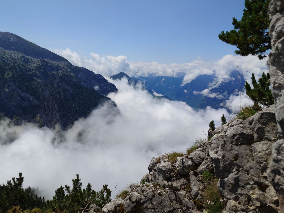 Sony Xperia 1 V in Southern Germany