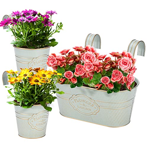 Pergar Vintage Metal Iron Wall Hanging Flower Pots, Rustic Planter Bucket Herb Flower Plant Holder With Detachable Hooks & Drainage Hole for Railing Fence Balcony Deck Garden Home Decoration, Set of 3
