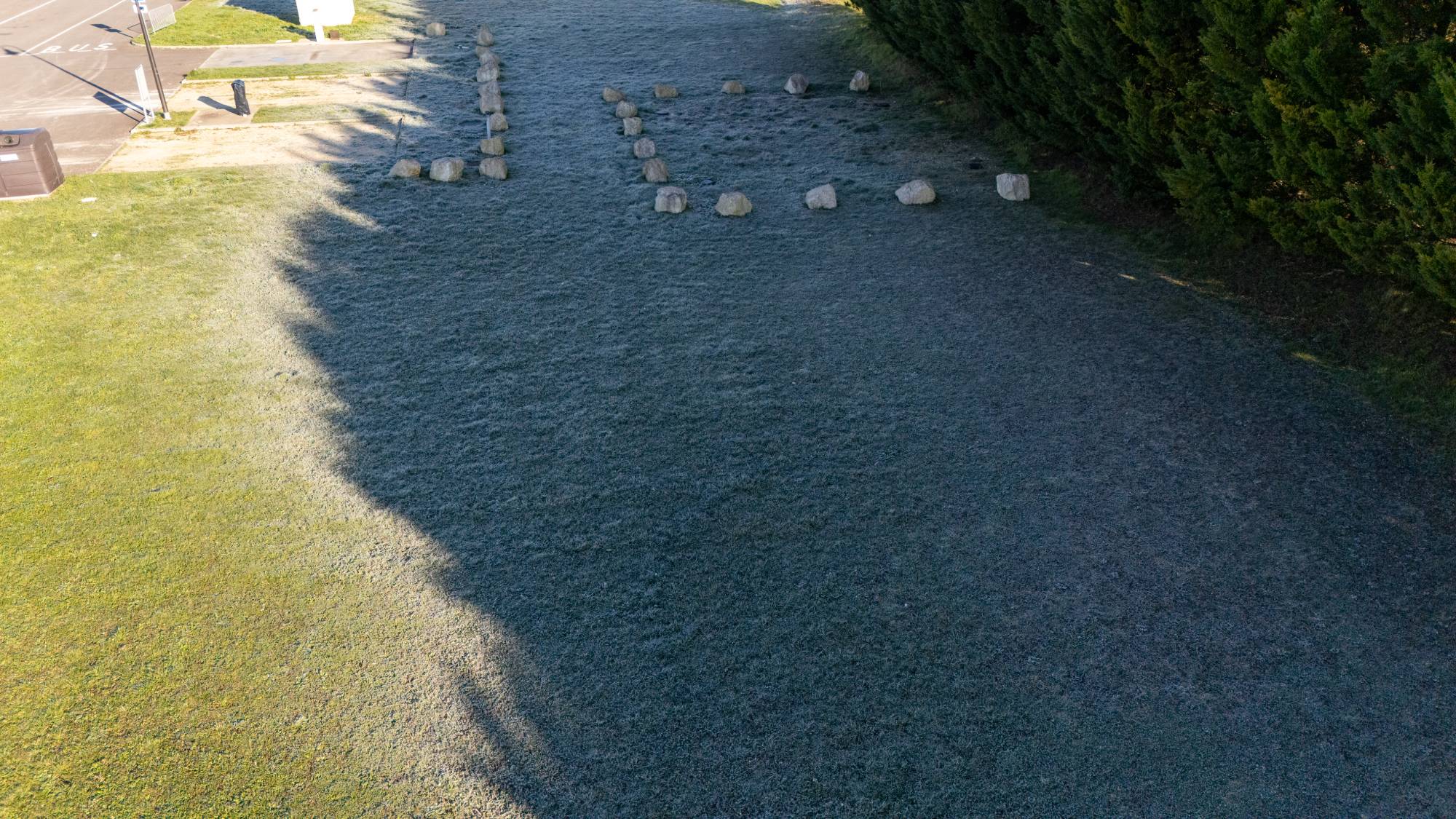 A lawn half covered in shadows from trees. The grass in shade still has frost on it.